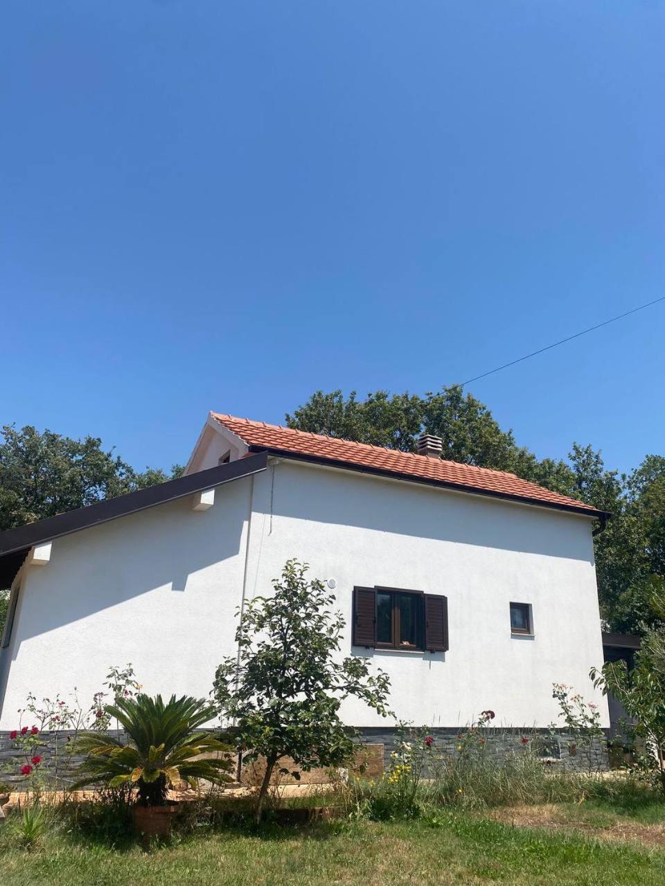 Villa Shu Krimovica エクステリア 写真
