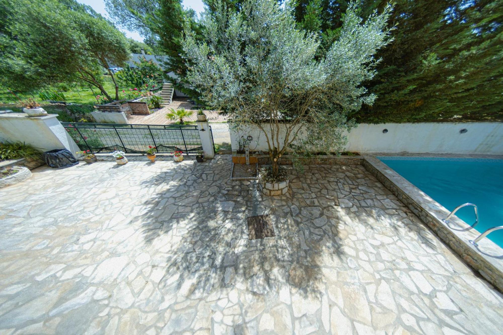 Villa Shu Krimovica エクステリア 写真